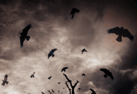 Miyagiyoda's Cover Photo