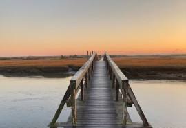 sir gin's Cover Photo