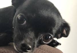 Michael Jed's Cover Photo