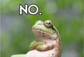 War Eagle's Cover Photo