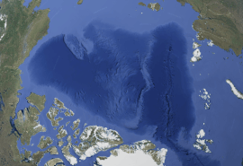 IP Anonymously's Cover Photo