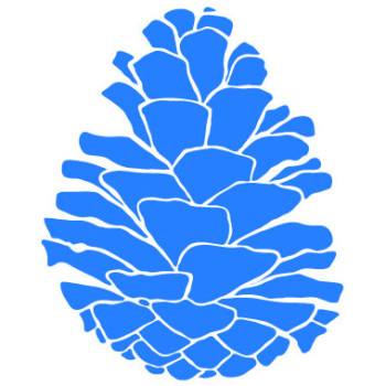 pine cone