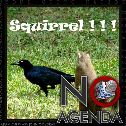 squirrel ! by Sir Nussbaum