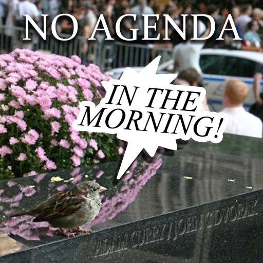 nyc birds dont care by Nick the Rat