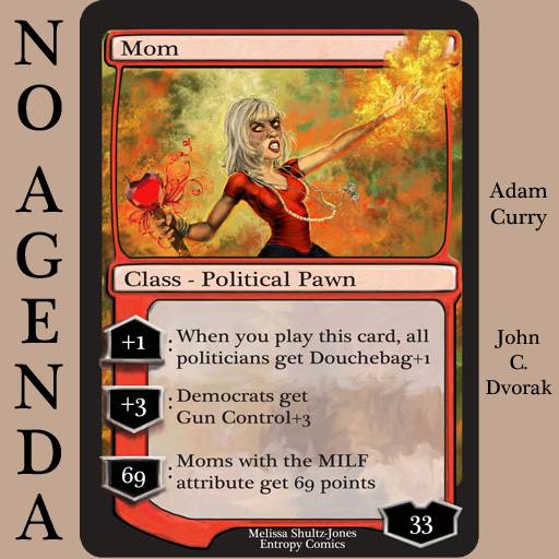 The Mom Card by Melissa Shutlz-Jones