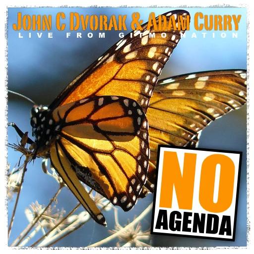 Monarch Butterfly by Patrick Buijs