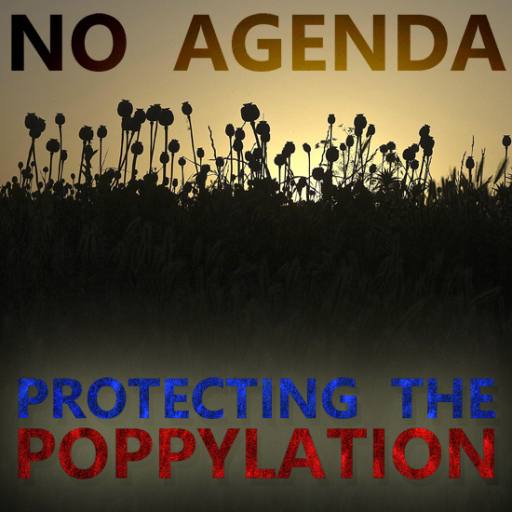 Protecting the poppylation by festival wibrowski