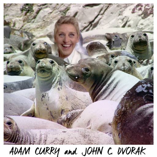 sealfie 2 by Nick the Rat