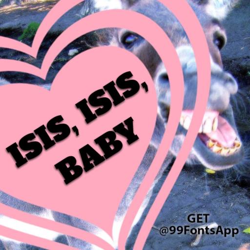 donkey love by Sir Donald Winkler (Baron)