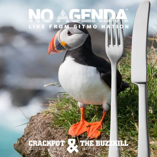 puffin by Patrick Buijs