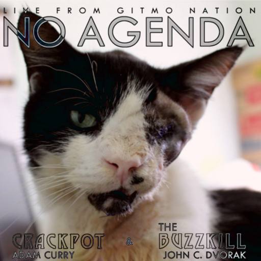 Zombie Cat by John Fletcher