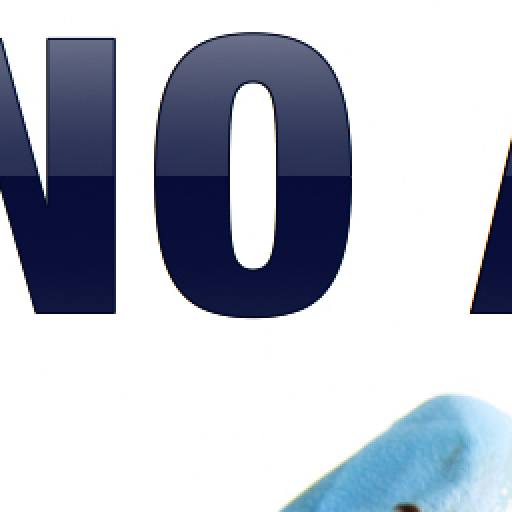 Smoked Organs by Neal Campbell