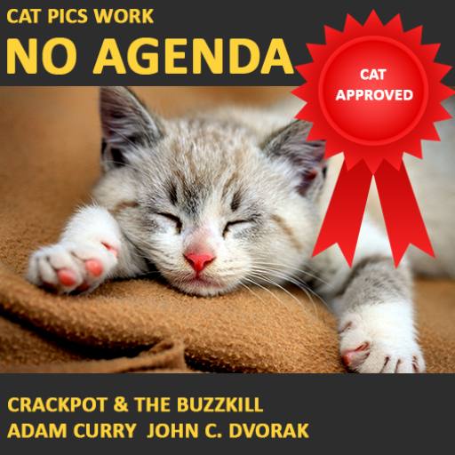 Cats Pics Work! by James Cates