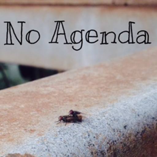 To be a fly on a wall by black cloud