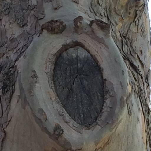 We're All Gonna Die by Dame17