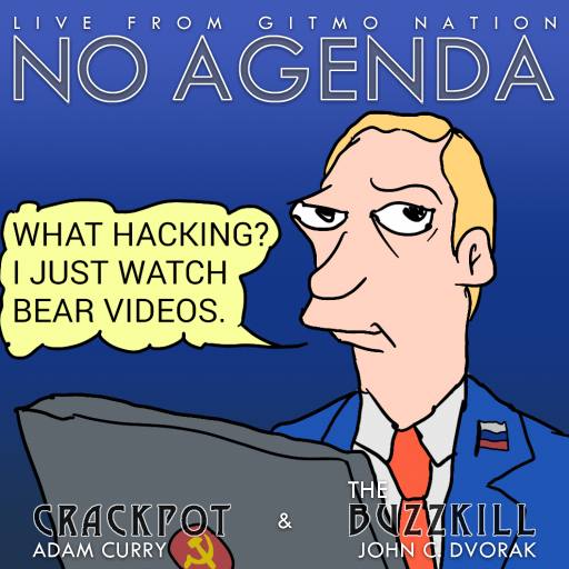 funny bear videos by Comic Strip Blogger