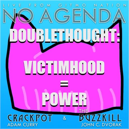 VICTIMHOOD IS POWER by Patrick Buijs