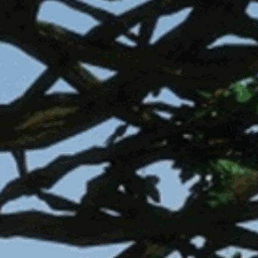 The New White House by Cowpnchr