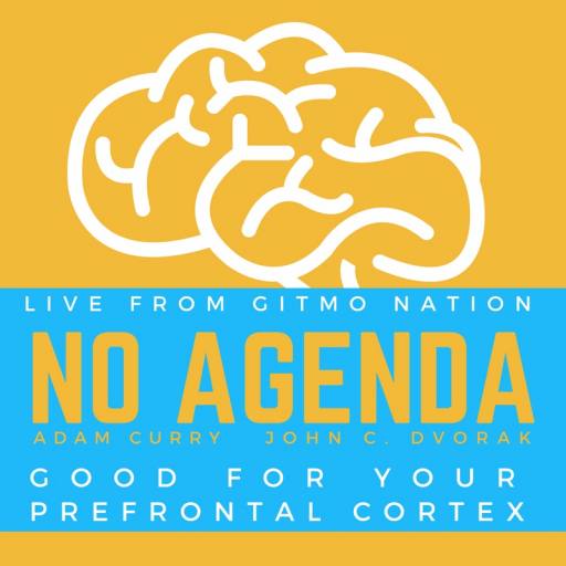 Prefrontal Cortex by Melvin Gibstein