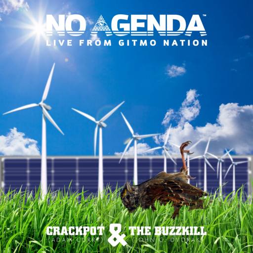 Solar Wall by Nick the Rat