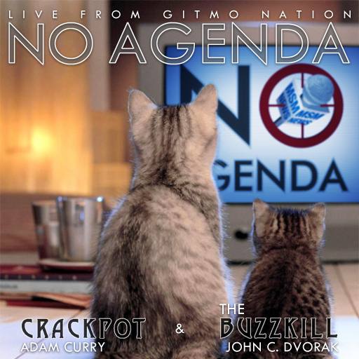 CatTV by Marcus Couch