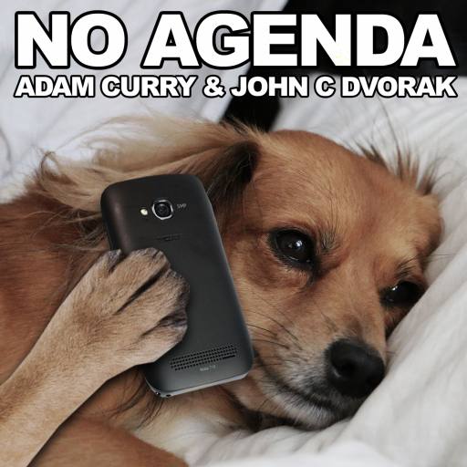 Dog Phones in Bed by Nick the Rat