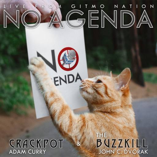 NA Cats by Marcus Couch