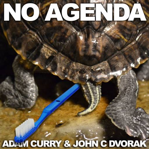 Turtle Teeth by Nick the Rat