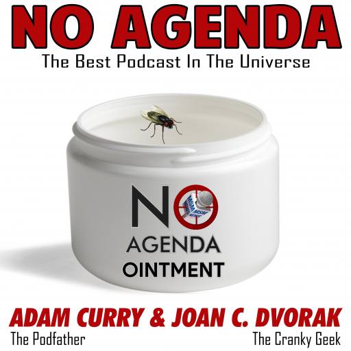 Fly Ointment by Darren O'Neill