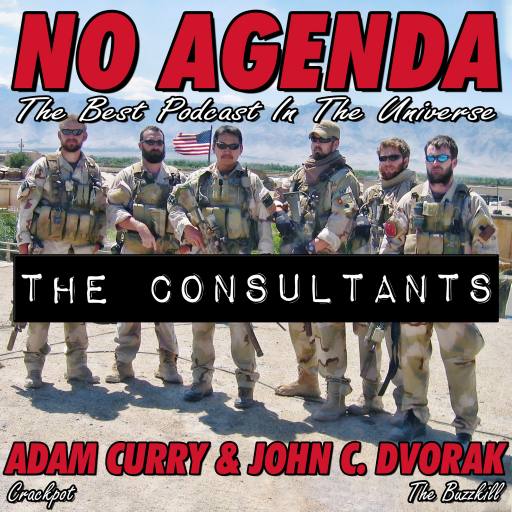 The Consultants by Darren O'Neill