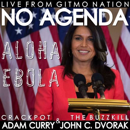 Gabbard Aloha Ebola by MartinJJ