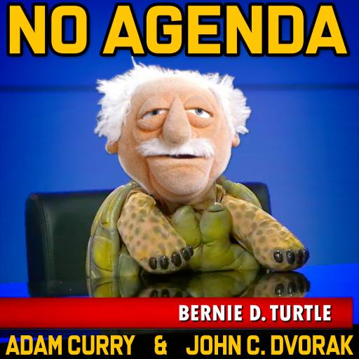 Bernie D. Turtle by Darren O'Neill