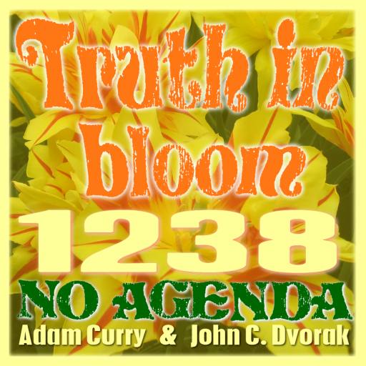 1238, Truth in bloom by MountainJay