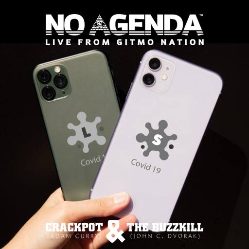 Covid19L or Covid19S by thebdmethod