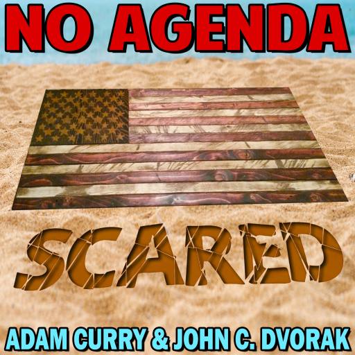 Scared Beach by Darren O'Neill