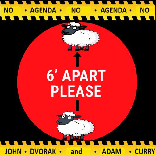 sheep apart by lemoneyfresh