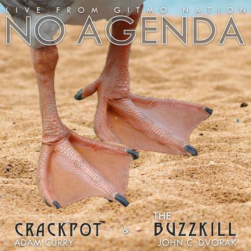 beach goose by Tante_Neel