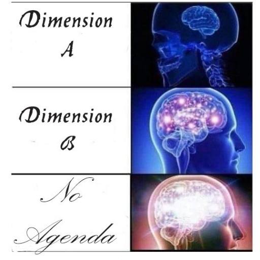 Brain Dimensions by David From No Agenda Social