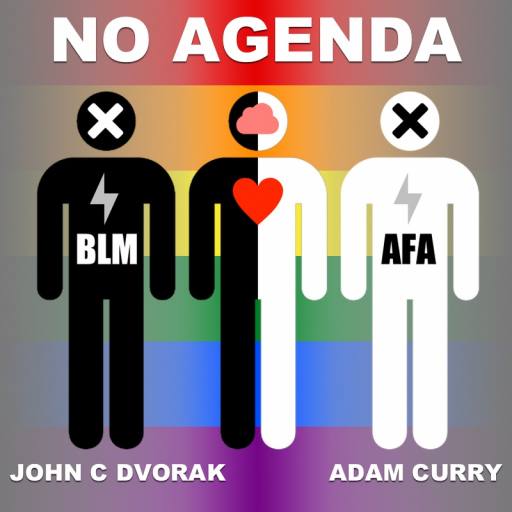 diversity is collective bias by Patrick Buijs