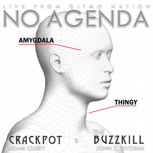 NOODLE ANATOMY by Tante_Neel