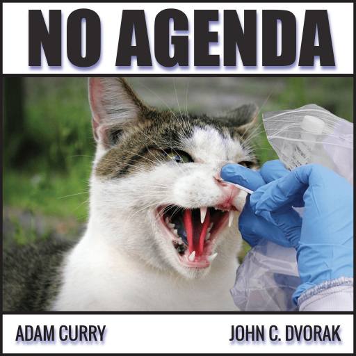 We Need More Testing on Cats! by @LorenzoRojo