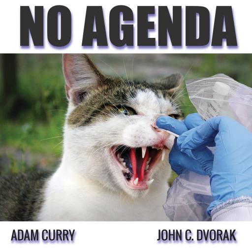 We Need More Testing! by @LorenzoRojo