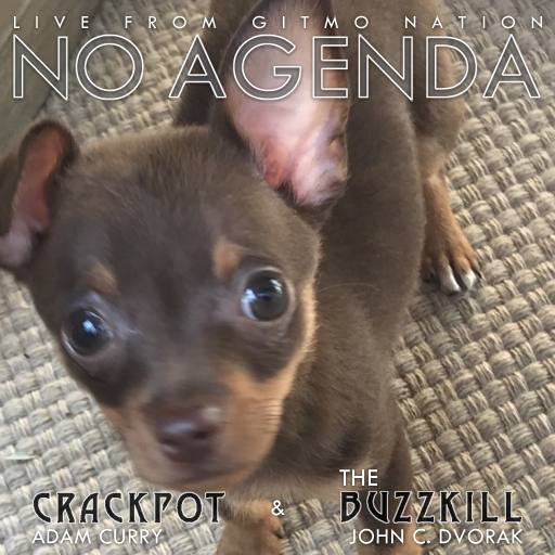 News letter Donation maker by KorBenCopy