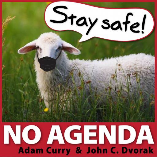 Stay safe, sheep! by MountainJay