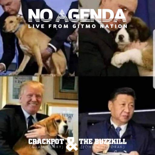 nation puppy by Chaibudesh