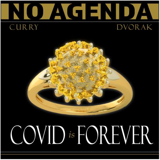 COVID is FOREVER by MountainJay