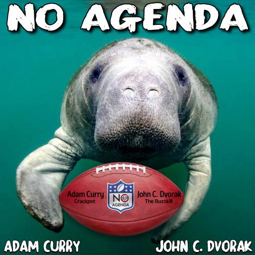 The Manatee Knows by Darren O'Neill