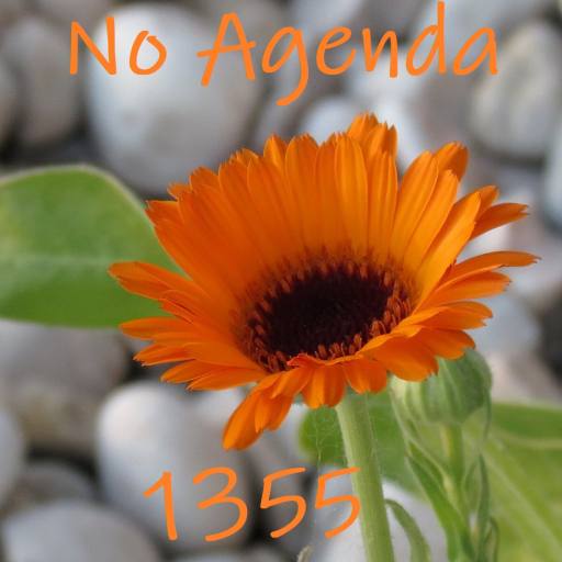 1355 Pre-Show by GummyNerds