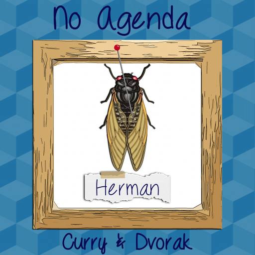 Cicada name (and a little joke for the Dutchies) by Tante_Neel