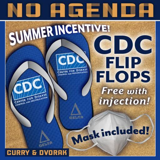 CDC Flip Flops by MountainJay